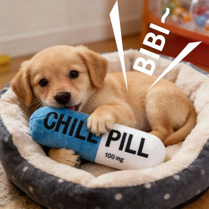 Jouet (Valeur 29,99€)