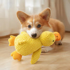 PawZen™ – Jouet interactif anti-anxiété pour chien