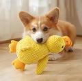 Chien couché tenant un jouet interactif canard jaune en peluche sur un sol en bois.