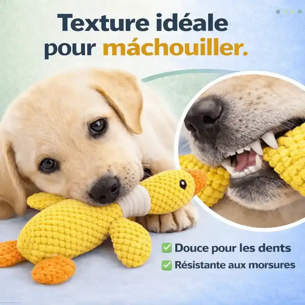 Chiot joue avec un jouet canard en peluche jaune, idéal à mâcher, doux et résistant aux morsures.