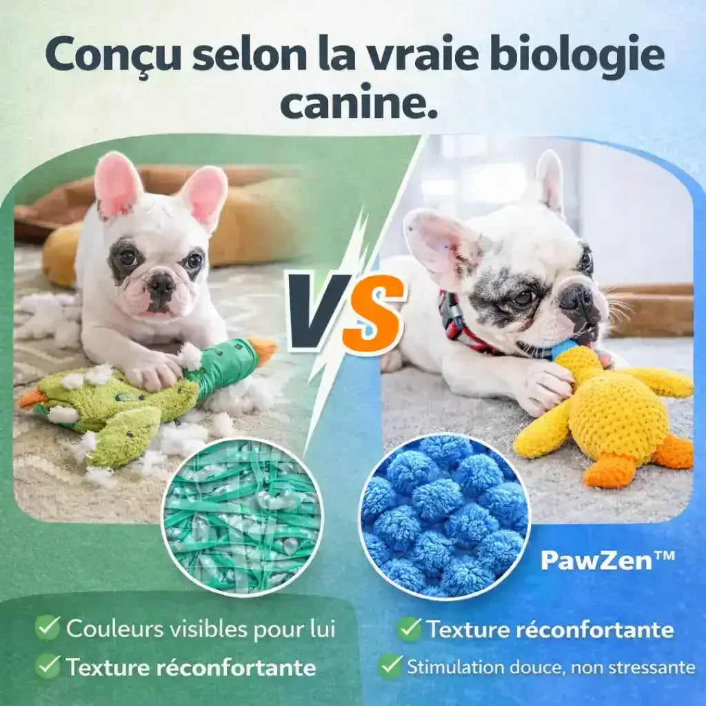 Comparaison de deux chiens jouant avec des jouets interactifs, mettant en avant les textures réconfortantes et la stimulation douce adaptée à la biologie canine.
