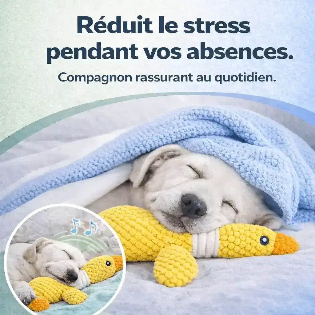 Chien blanc endormi avec un jouet interactif jaune en forme d’oiseau, couvert d’une couverture bleue, texte sur la réduction du stress pendant les absences.