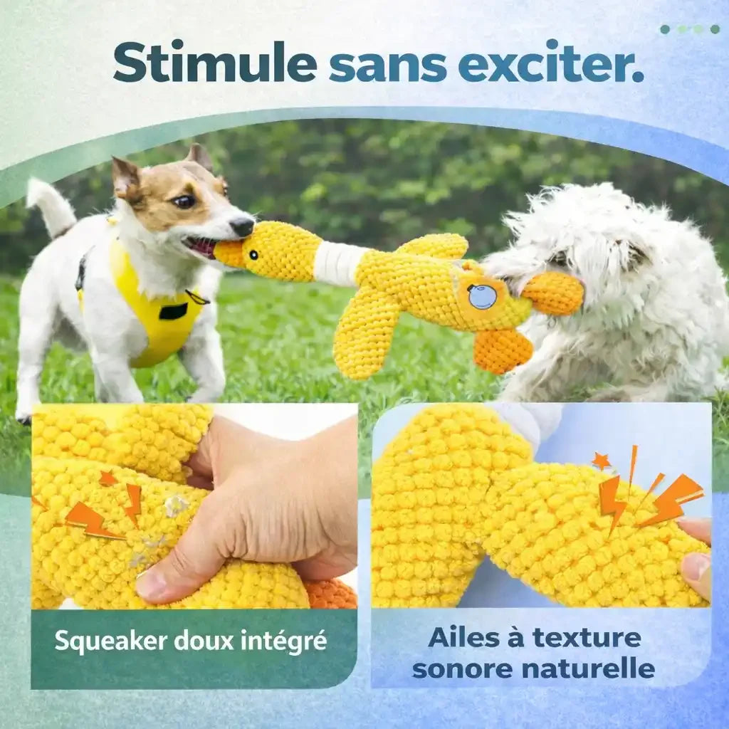 Deux chiens jouent avec un jouet interactif jaune, doté d'un squeaker doux et ailes sonores.