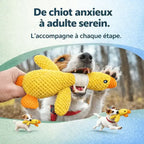Chien jouant avec un jouet interactif en forme de canard jaune pour stimuler et occuper
