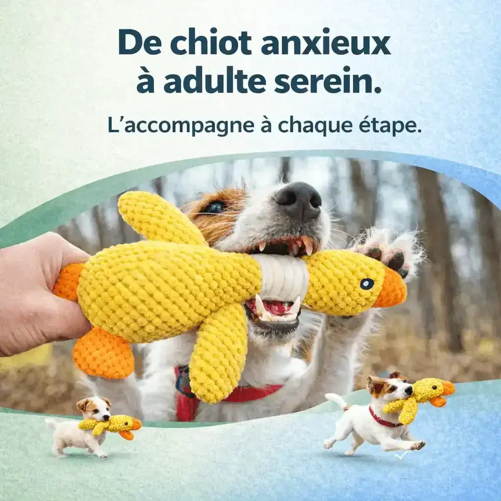 Chien jouant avec un jouet interactif en forme de canard jaune pour stimuler et occuper