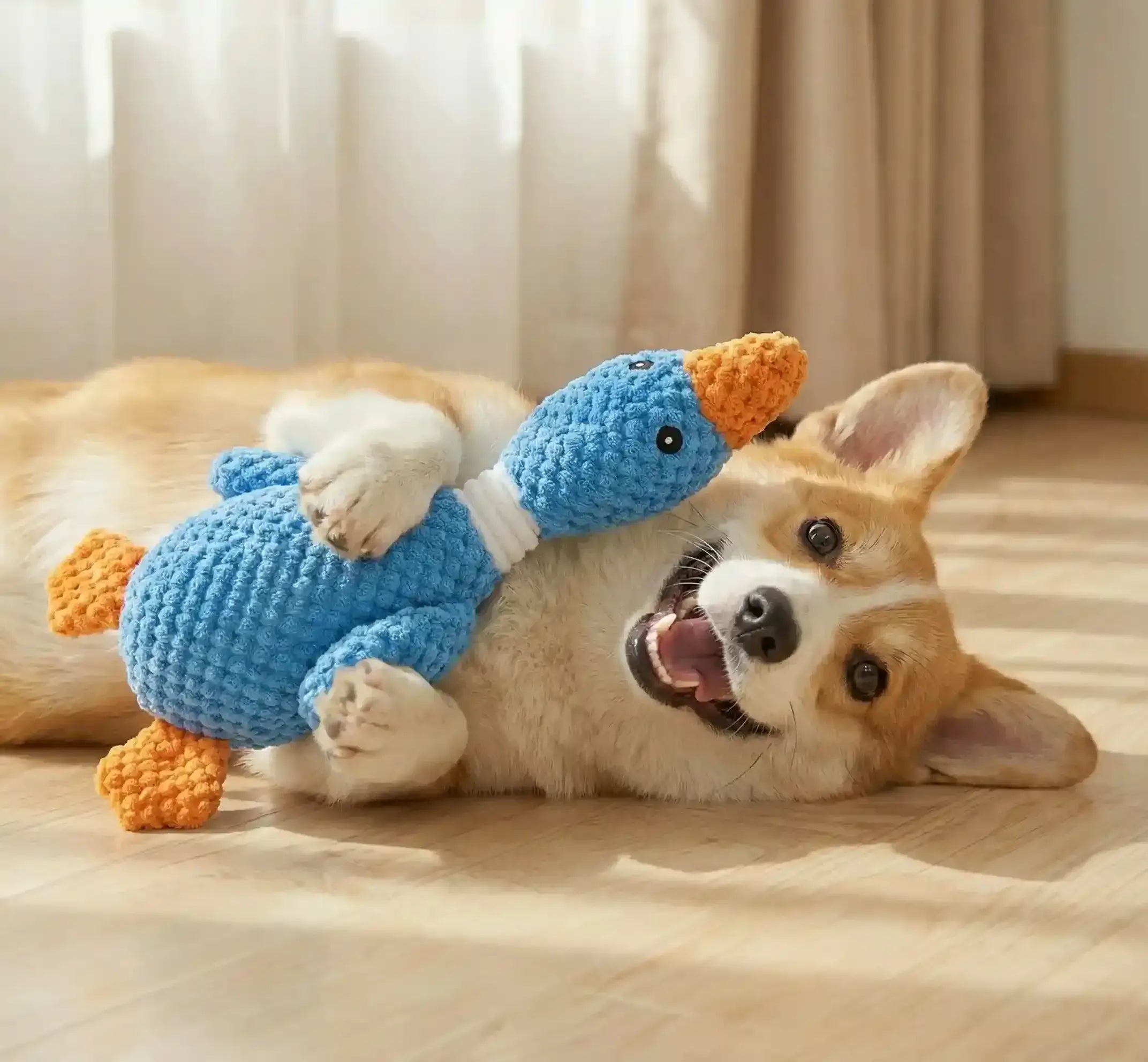 Chien couché jouant avec un jouet interactif en forme de canard bleu sur un sol en bois.